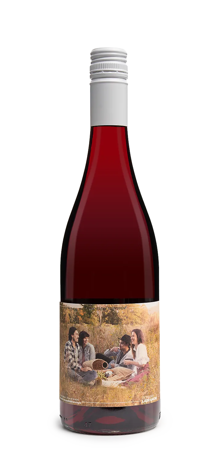 Vin Rouge - Pique-nique improvisé