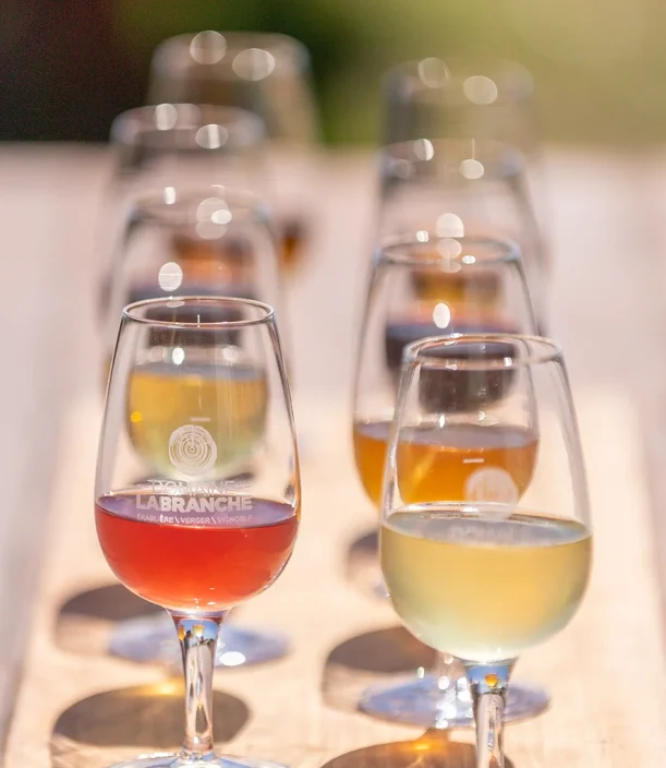 Domaine Labranche - Dégustation de vin