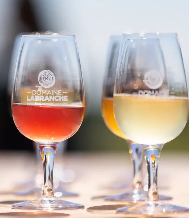 Domaine Labranche - Dégustation de vin